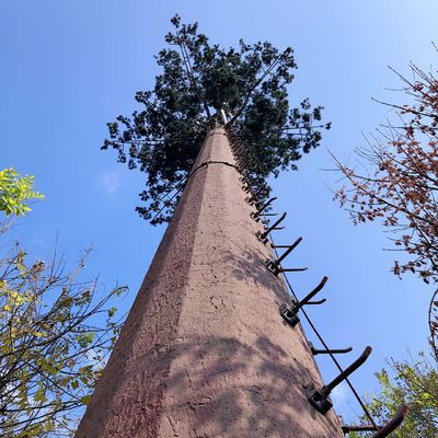 36 মি / স হট ডিআইপি গ্যালভান্সাইজড 5 জি মোবাইল সেল টাওয়ার
